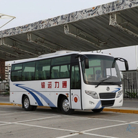 Dimensions du bus touristique 29 places Bus de tourisme privé de luxe