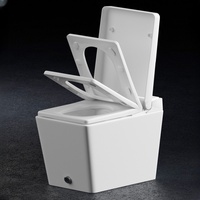 Bidet de WC automatique intelligent de forme carrée articles sanitaires électriques intelligents piège en S compatible avec le drainage télécommande monobloc