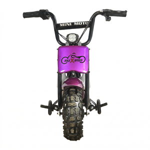 MAXSPEED 250DH Vélo Électrique Mini <span class=keywords><strong>Pocket</strong></span> <span class=keywords><strong>Bike</strong></span> 36V 500W à Moteur à Balais, Vente en Gros, pour Enfants, Entraînement en Extérieur, Roues Optionnelles, Débutant - Product Image 1