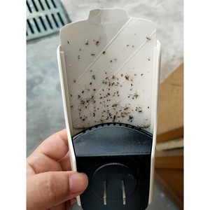 Matamosquitos Eléctrico con Luz UV, Portátil, de Plástico, para Uso Doméstico en Interiores - Product Image 2