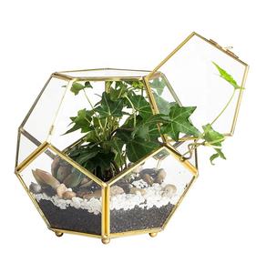Gold Kupfer Messing Fußball Form Glas Geometrisches Terrarium mit Tür Pentagon Ball Schließen Farn Moos Sukkulente Pflanzer Blume - Product Image 1