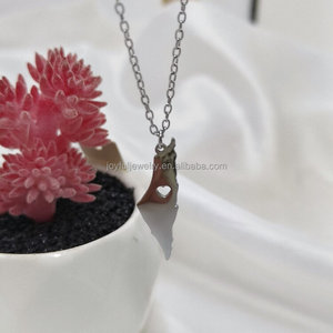 Livraison rapide nouveau Design <span class=keywords><strong>Palestine</strong></span> colliers carte bijoux haute poli 316l acier inoxydable Jérusalem Gaza paix collier pour hommes - Product Image 6