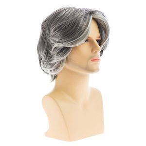 Venta al por mayor guapo pelucas de pelo esponjoso para los hombres 6 pulgadas mate <span class=keywords><strong>abuela</strong></span> gris <span class=keywords><strong>Peluca</strong></span> de pelo corto - Product Image 2