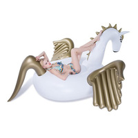 Chaise longue gonflable en forme d'aubergine avec filet pour adultes, flotteur de piscine, amusement aquatique, matériau PVC, usage commercial, capacité 100-500 kg