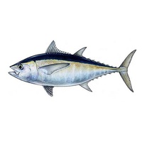 Huile de thon de haute pureté Richtek 90% en conserve – Nouveau produit – Supplément d'huile de poisson pour le corps – Teneur élevée en DHA