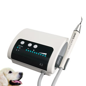 Anteeth macchina per la pulizia del tartaro ablatore dentale clinica per animali domestici ospedale LED manipolo staccabile ablatore dentale ad ultrasuoni con punte - Product Image 1