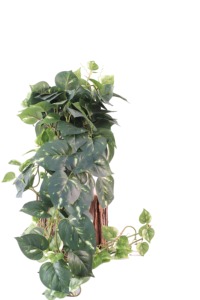 Vente en gros de plantes artificielles en <span class=keywords><strong>pot</strong></span> suspendues, fausses plantes de <span class=keywords><strong>lierre</strong></span> en pots, petites plantes d'intérieur pour la décoration de la maison - Product Image 3