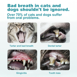 पालतू श्वास के लिए फ्रीज-सूखे ग्रेनाइट को कम करने के लिए फ्रीज-सूखे ग्रेनाइट को कम करने के लिए फ्रीज-सूखे ग्रेनाइट को कम करना - Product Image 2