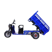 Vente en gros de nouveaux produits Europe route légale 142 cm remorque chinois volta tricycles de fret électriques pour adulte