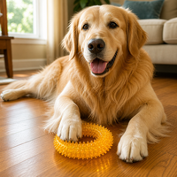Jouet à mâcher interactif pour chien TPR avec anneau couineur, design classique moderne, pour le nettoyage des dents, disponible