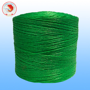 Chất lượng cao nhựa xoắn bện dây thừng <span class=keywords><strong>twine</strong></span> Nylon <span class=keywords><strong>PP</strong></span> PE Polyester xoắn PE câu cá <span class=keywords><strong>twine</strong></span> - Product Image 3