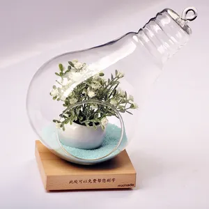 Wholesale Glass Light Bulb Terrarium with Air Plants/Moss/Sand/Dried Flowers