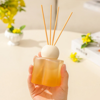 Diffuseur de roseaux d'huile essentielle de 100ml-Parfum d'intérieur pour le salon, la chambre et la salle de bain, décor d'aromathérapie longue durée