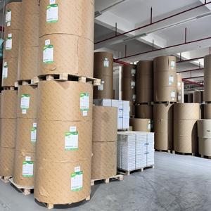 Papier offset non couché sans bois, crème et super blanc, 60 g/m², 70 g/m², 80 g/m², pour impression - Product Image 6