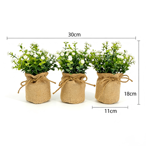 Feuilles d'eucalyptus <span class=keywords><strong>de</strong></span> haute qualité, souffle <span class=keywords><strong>de</strong></span> bébé, dans un sac en <span class=keywords><strong>toile</strong></span> <span class=keywords><strong>de</strong></span> <span class=keywords><strong>jute</strong></span>, plantes en pot à feuilles persistantes pour la décoration intérieure <span class=keywords><strong>de</strong></span> bureau - Product Image 6