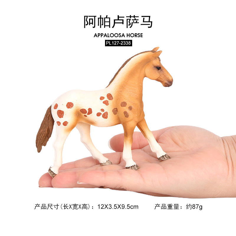 2338 Appaloosa Horse