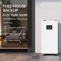 Batterie de stockage d'énergie Lifepo4 de type solaire 15 kWh, sortie stable pour système solaire hybride domestique