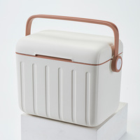 Ensemble cadeau de glacière portable de 6 L pour le camping en plein air, glacière isotherme pour pique-nique, voyage en voiture, petite capacité, boîte thermique de qualité alimentaire