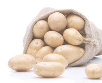 Machine efficace de nettoyage et d'épluchage de légumes de racine de taro de pomme de terre de gingembre
