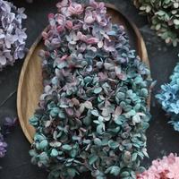 Hortensias séchés naturels de haute qualité, prix de gros, 25 cm+, pour la fête des mères, Thanksgiving, la Saint-Valentin