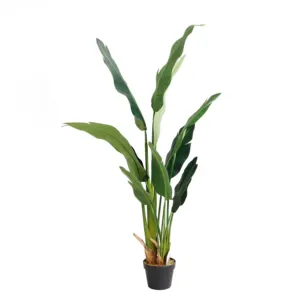 人造旅行者香蕉树Heliconia Librata Griggs扇叶纸箱现代装饰花和花环100 Pcs CN; 瓜