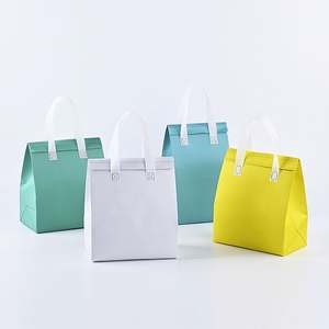 Bolsa Térmica Desechable de Material No Tejido, Económica, con Diseño de Letras, Capacidad de 2L, Plegable e Impermeable, Promoción de Fábrica China 2022 - Product Image 1