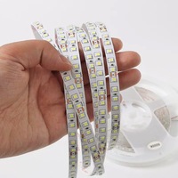 Lampu Strip LED 12V 24V Dual Row 240 LED Patch 2835 Lebar 10MM Tahan Air IP44 untuk Penggunaan Luar Ruangan dan Dalam Ruangan
