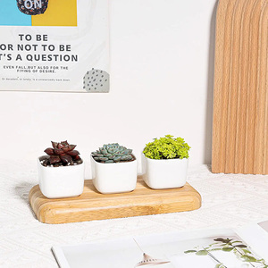 <span class=keywords><strong>Macetas</strong></span> pequeñas blancas suculentas con bandeja de bambú, soporte cuadrado geométrico <span class=keywords><strong>para</strong></span> plantas de <span class=keywords><strong>Cactus</strong></span> <span class=keywords><strong>para</strong></span> mesa de oficina en casa o uso en el jardín - Product Image 3