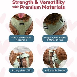 Chaleco Ajustable y Transpirable con Lindo Estampado <span class=keywords><strong>de</strong></span> Corazones, Acolchado Suave con Anillo en D en la Espalda, para Perros Pequeños <span class=keywords><strong>de</strong></span> Talla XXS-L - Product Image 4