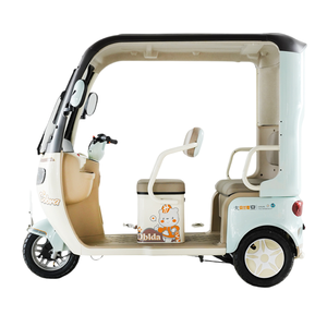 Robust 60V Utility E-Trike with Extended <strong>Open</strong>-Back <strong>Space</strong> for Enhanced Efficiency - Product Image 5
