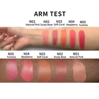 Bâton de fard à joues crème végétalienne de logo personnalisé de joue de blush imperméable d'OEM avec la marque privée de bâton de blush de brosse