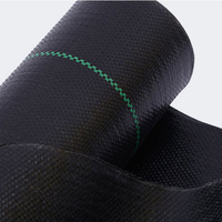 Rouleau de toile de paillage noire tissée, tapis anti-herbe, tissu paysager pour la lutte contre les adventices dans les vergers, les pépinières et les terres agricoles