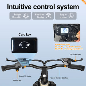 Bicicleta Eléctrica de Perfil Bajo para Mujer Aairsk S600, Almacén UE, para Ciclismo Urbano, Asiento Trasero, Batería Oculta de Larga Duración, Electrónica - Product Image 4