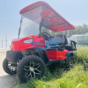 Beliebteste kunden spezifische Golf wagen Classic Elektro-Golf wagen für <span class=keywords><strong>2</strong></span> 1 6-Sitzer Hochleistungs-Jagd-Golf-Buggy zum Verkauf - Product Image 6
