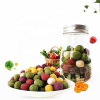 Balles nourrissantes pour Fruits, légumes et haricots, produit de repas interactif, collation, molaire pour lapin