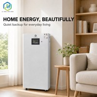 Batterie LiFePO4 murale 48V 51.2V 314Ah 16kWh avec BMS intégré pour le stockage d'énergie solaire domestique