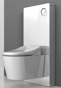 Toilet Toilet Good Quality Bathroom Ceramic Smart WC Toilet With Wall-mount Shower Toilet