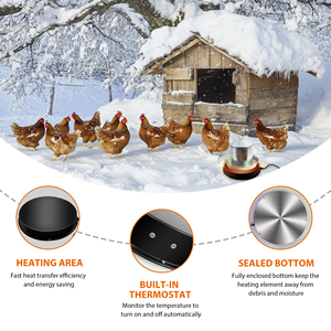 Oruga para brazo, - Product Image 5