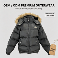 Veste d'hiver matelassée pour femme, capuche amovible, nylon hydrofuge, fermeture éclair sur le devant, rembourrage en polyester, vêtements d'extérieur