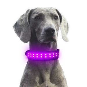 Collare a LED per Animali Domestici con Controllo via App Stile Classico Ricaricabile in Morbido Poliestere con Fibbia ad Ardiglione Evidenziata per Cani e Gatti - Product Image 3