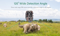 Suntekcam HC-950A-Li double objectif 4K 50MP étanche caméra de vision nocturne pour les animaux sauvages