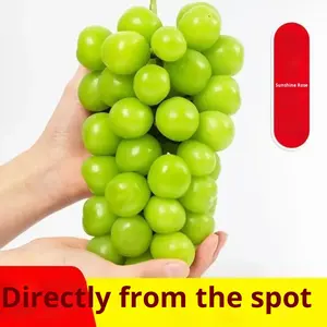 摘みたてのサンシャインローズグレープ青王グリーングレープXiangyinドライフルーツワンピースドロップシッピング - Product Image 2