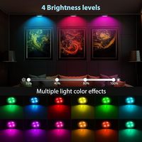 Lumière d'affichage d'art LED magnétique de couleur 13 RVB pour cadre photo, lumière de peinture à piles avec télécommande