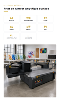 Impresora Industrial de Inyección de Tinta UV SJZ-2513, 2-12 Cabezales de Impresión Ricoh G6, CMYKL cLm WV Color, Altura de Impresión de 140 mm