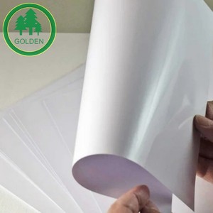 Papier d'art de qualité supérieure 80 g/m² 100 % pâte de bois vierge C1S couché recto en rouleau de qualité alimentaire pour le marché brésilien - Product Image 2