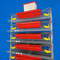 LZHQC-6A Nouvelle Cage à Cailles Verticale de Type H Galvanisée à Chaud, 6 Niveaux, Système d'Alimentation et d'Abreuvement Compact, Capacité 360