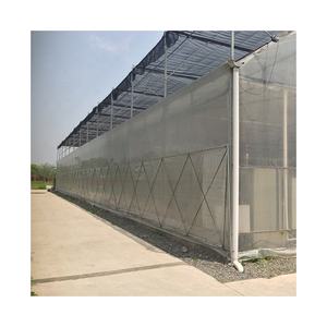 <span class=keywords><strong>Serre</strong></span> de culture en plastique, économique, pour véranda de fleurs ou de légumes, économique - Product Image 2