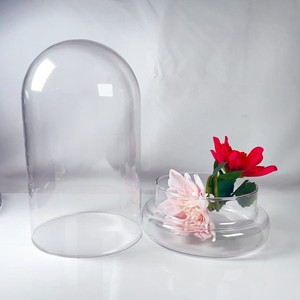 Cúpula de Vidrio de 8 Pulgadas para Plantas de Interior, Pequeño Terrario de Vidrio con Base, Mini Cúpula con Base para Exhibición y Decoración del Hogar - Product Image 4