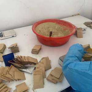 Vendeur d'usine en Chine, pollen de prune, pollinisation artificielle des <span class=keywords><strong>arbres</strong></span> à prune avec du pollen pur, prix de gros - Product Image 5