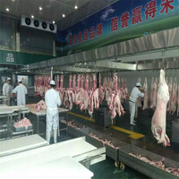 Chaîne de traitement de viande complète pour abattage de moutons, haute productivité, équipée d'un moteur, d'une pompe et de roulements, entièrement automatisée